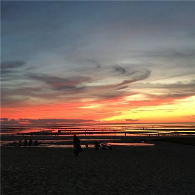 beat365中国在线体育下载手机版截图